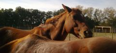 instant tendresse29 octobre