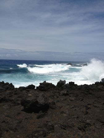 bord de mer réunion 2 février 2015